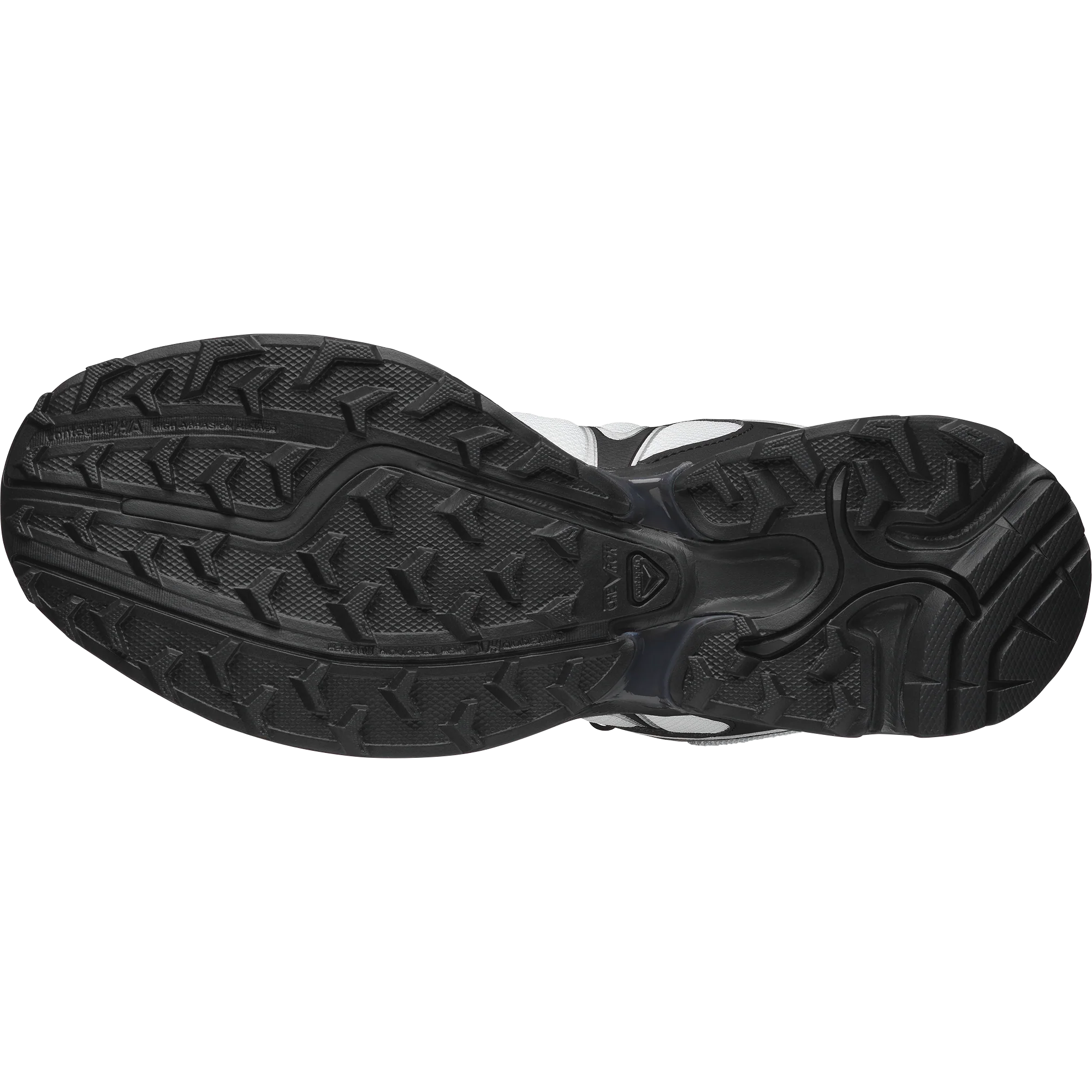 XT-WHISPER - Image 5